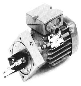 Bijur Delimon ADM06A02A01 - Gear Pump AD-M - 230/400V - max. 30 bar - 0,06 l/min - 4 L reservoir