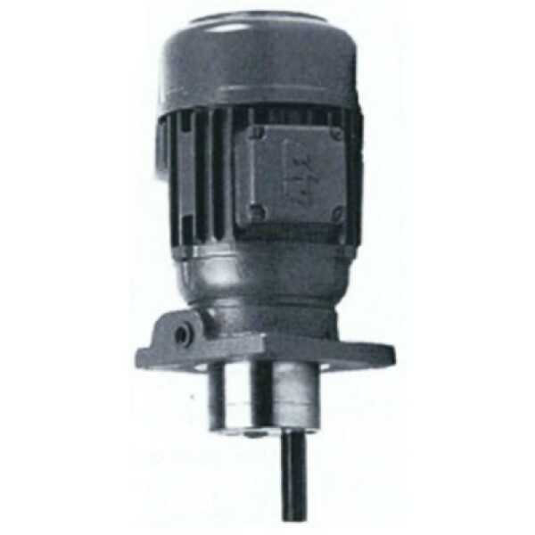 30030150225-V - BEKA MAX - Gear Pump - 230/400 V - 0,25 kw - with/ohne pressure limiting valve - 1,5 l/min