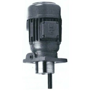 30030150225-V - BEKA MAX - Gear Pump - 230/400 V - 0,25...