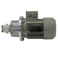 124-012-210+100 - Vogel / SKF 1-circle Gear Pump unit 124...