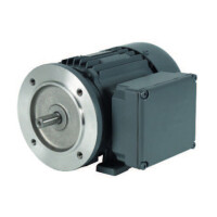 178-AA12C-AMRA+1FX - Vogel / SKF IEC Squirrel cage motor - for Gear Pumps 143-063-B11BAXA1