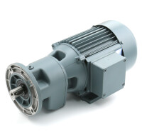 248-721.02+1FX - Vogel / SKF Gear motor IP55 - 220 - 240 V / 380 - 420 V, 50 Hz (+/-5%)