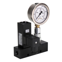 DSB1-S06F04G-1A-01 - SKF Pressure switch DSB1 - Switching direction: S (Pressure switch I) / F (Pressure switch II) - 60 bar (Pressure switch I) / 40 bar (Pressure switch II) - Measurement connector: With pressure gauge (250 bar) - Design: Standard